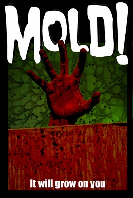 Mold